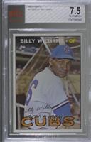 Billy Williams [BVG 7.5 NEAR MINT+]