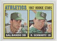 1967 Rookie Stars - Sal Bando, Randy Schwartz