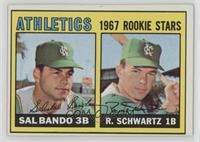 1967 Rookie Stars - Sal Bando, Randy Schwartz
