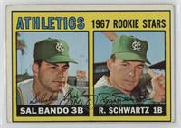 1967 Rookie Stars - Sal Bando, Randy Schwartz