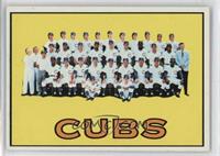 Chicago Cubs Team