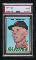 Hal Lanier [PSA 8 NM‑MT]