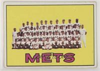 New York Mets Team