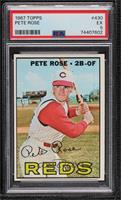 Pete Rose [PSA 5 EX]