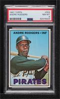 High # - Andre Rodgers [PSA 8 NM‑MT]