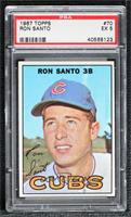 Ron Santo [PSA 5 EX]