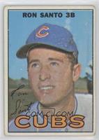 Ron Santo