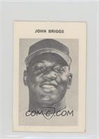 John Briggs