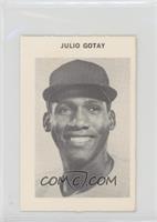 Julio Gotay