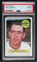 Curt Blefary [PSA 8 NM‑MT]