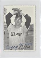 Denny McLain