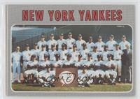 New York Yankees Team