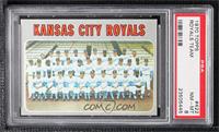 Kansas City Royals Team [PSA 8 NM‑MT]