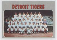 Detroit Tigers Team