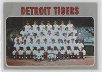 Detroit Tigers Team