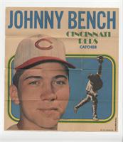 Johnny Bench