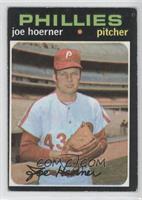 Joe Hoerner