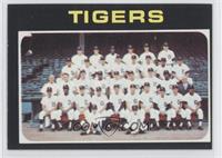Detroit Tigers Team