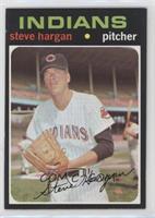 Steve Hargan