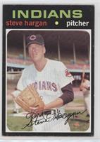 Steve Hargan