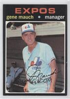 Gene Mauch