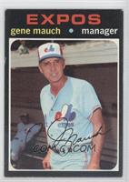 Gene Mauch