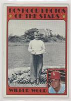 Boyhood Photos of the Stars - Wilbur Wood [Poor to Fair]