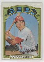 Johnny Bench