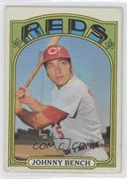 Johnny Bench