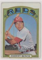 Johnny Bench