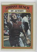 In Action - Johnny Bench