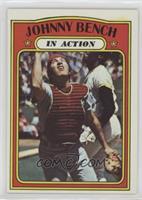 In Action - Johnny Bench