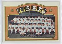 Detroit Tigers Team