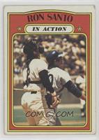 In Action - Ron Santo