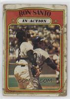 In Action - Ron Santo [Poor to Fair]