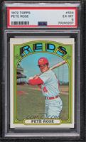 Pete Rose [PSA 6 EX‑MT]