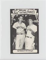 Ted Williams, Joe DiMaggio