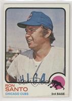 Ron Santo