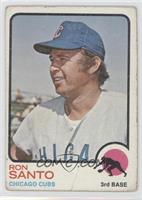 Ron Santo [COMC RCR Poor]