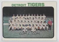 Detroit Tigers Team