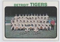 Detroit Tigers Team