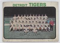 Detroit Tigers Team [Noted]