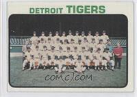 Detroit Tigers Team