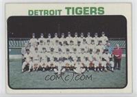 Detroit Tigers Team