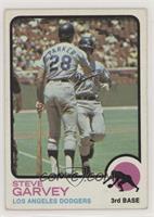 Steve Garvey