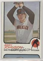 Jerry Johnson