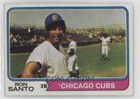 Ron Santo