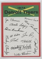 Detroit Tigers (One Star on Back)