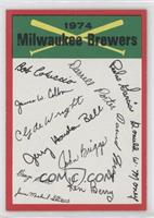 Milwaukee Brewers (One Star on Back)