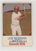 Joe Morgan